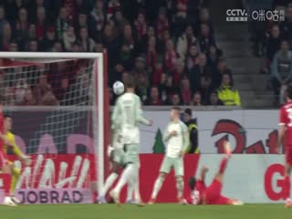 德甲联赛 美因茨VS勒沃库森 20250517