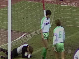 德甲联赛 海登海姆VS波鸿 20250503