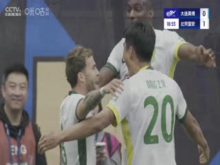 中超联赛 大连英博海发VS北京国安 20250505