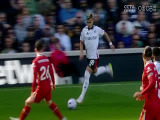 英超联赛 布莱顿VS莱斯特城 20250412