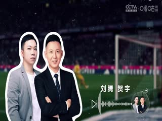 意甲联赛 帕尔马VS国际米兰 20250406