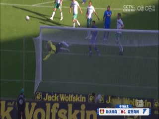 德甲联赛 勒沃库森VS霍芬海姆 20240330