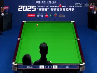 斯诺克玉山世界公开赛64进32 雷佩凡1-5凯伦·威尔逊  20250224